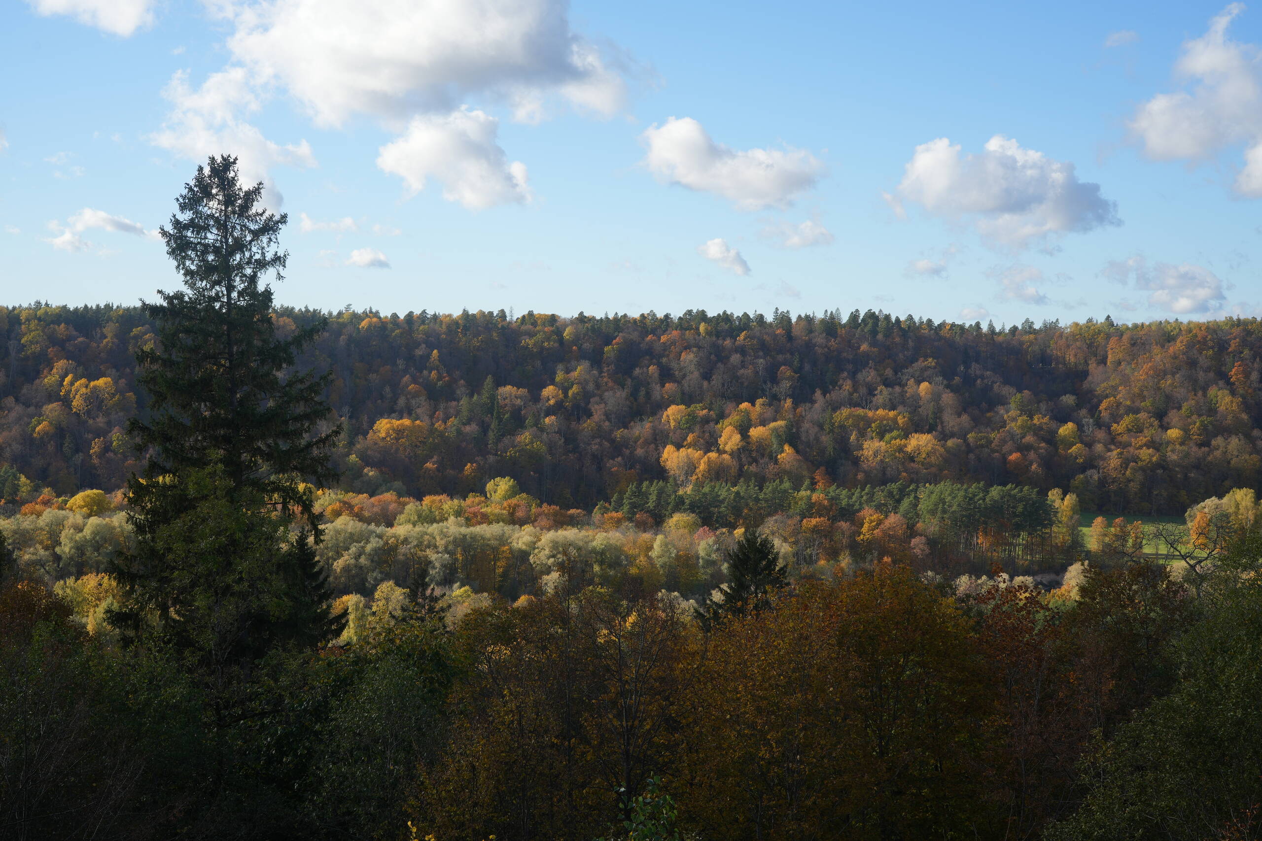 An image of nogāze.
