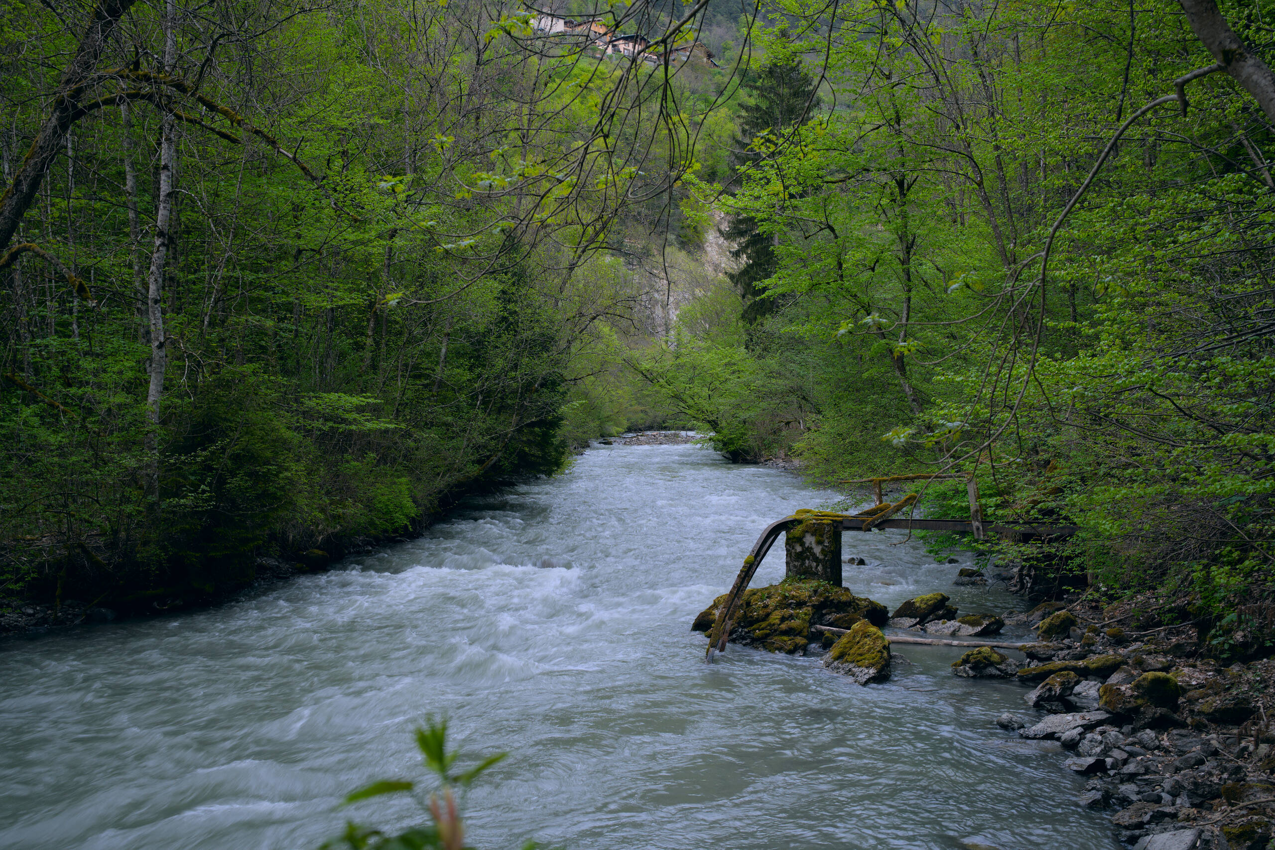 An image of river.
