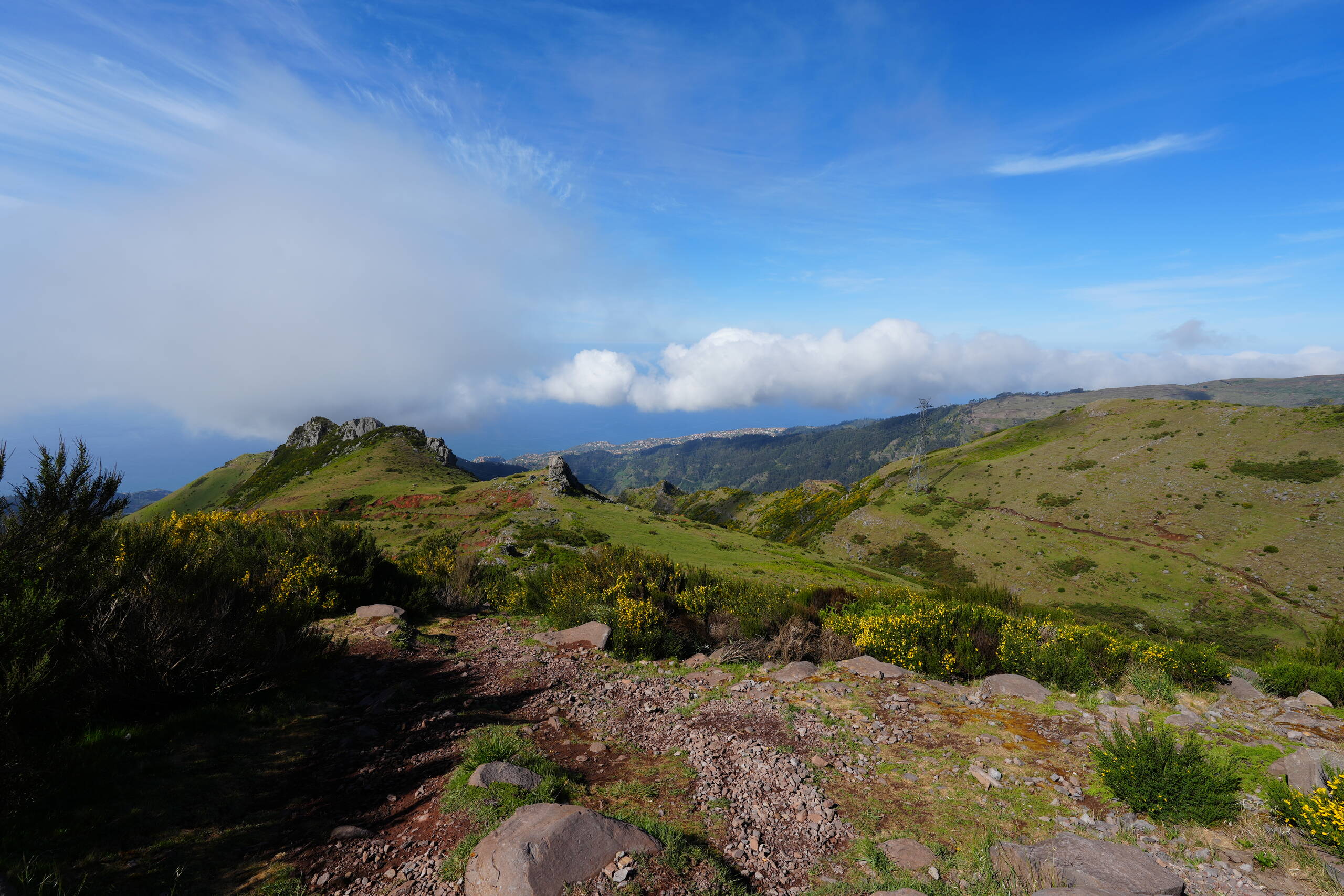 An image of landscape.