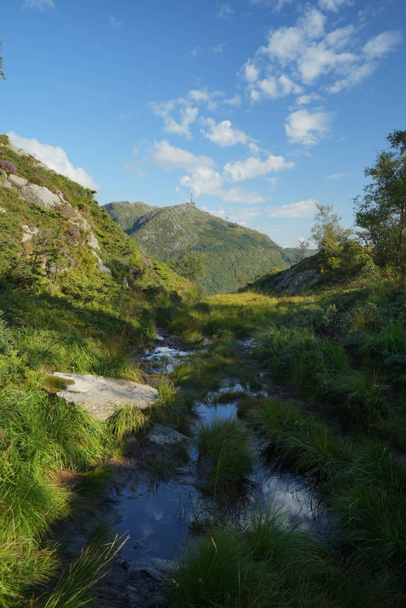 An image of Bergen.