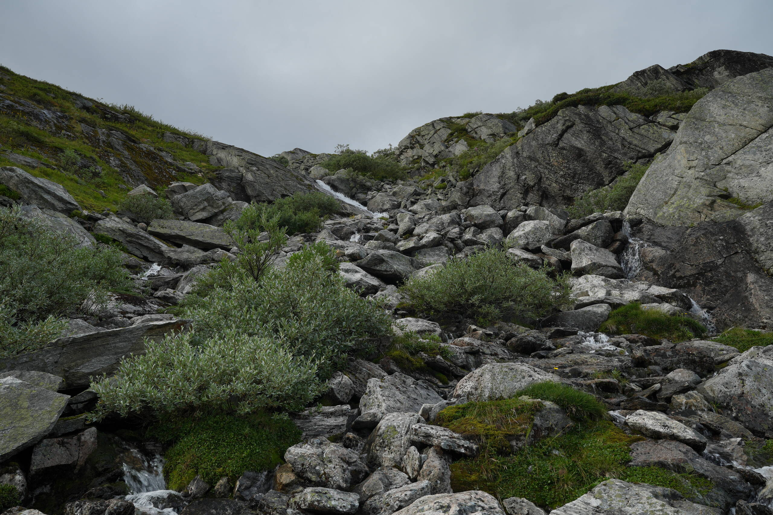 An image of rocks.