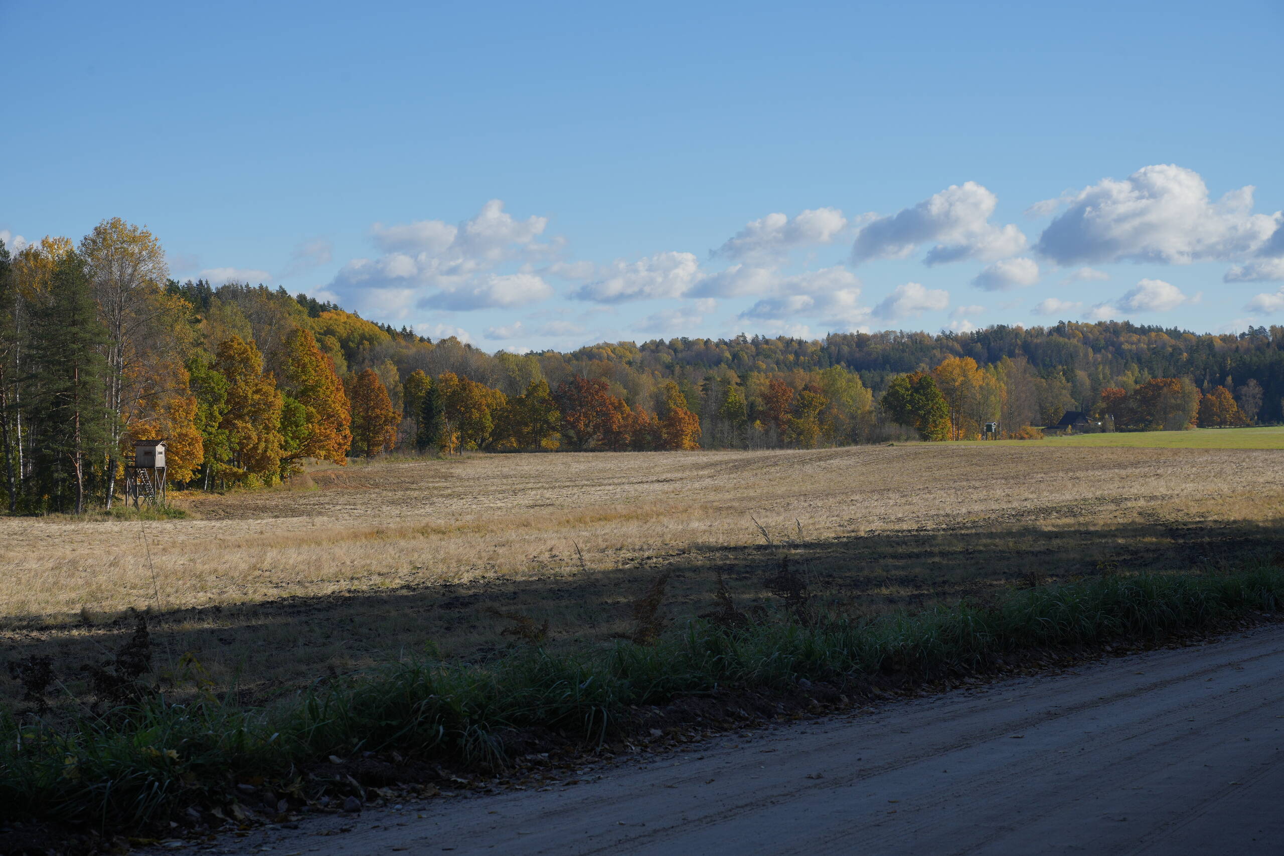 An image of field.