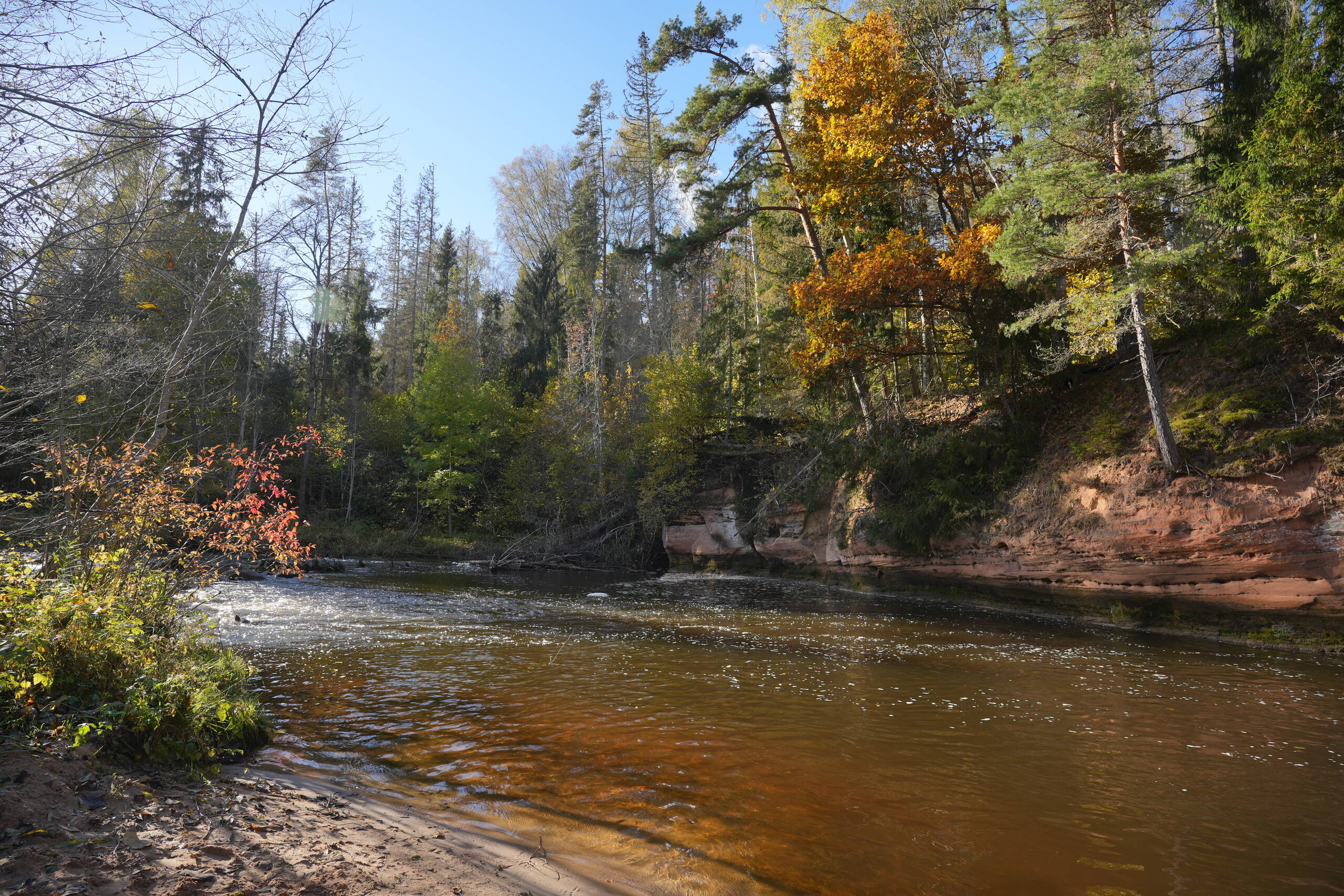 An image of gauja.